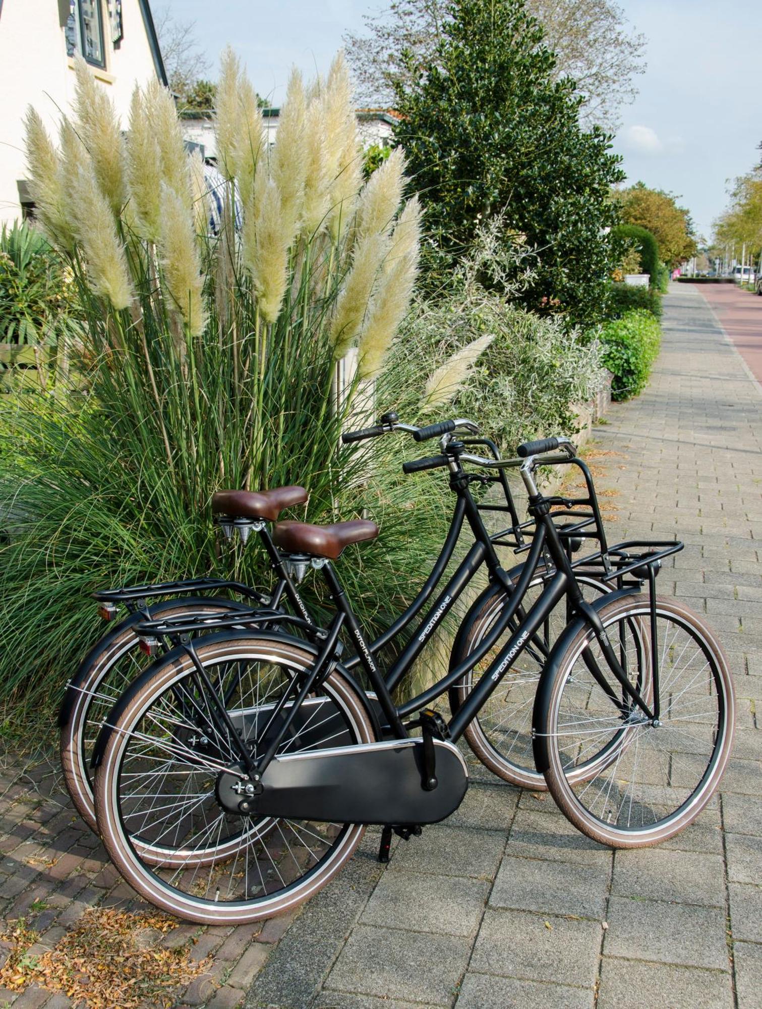 Appartement Beauvilliers Zandvoort Kültér fotó